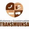 Mudanzas Transmuinsa